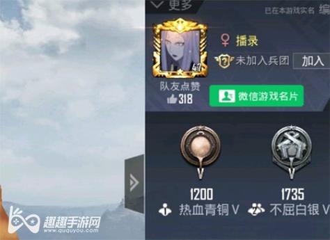 和平精英辅助《蓝莓》追踪直装辅助